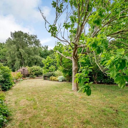Little Thatch Lovely 2-Bed Converted Workshop Near Weymouth Radipole Exterior foto