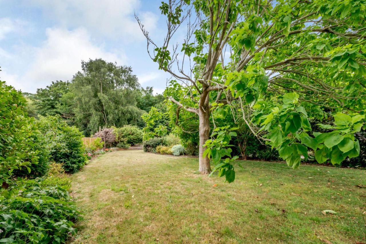 Little Thatch Lovely 2-Bed Converted Workshop Near Weymouth Radipole Exterior foto