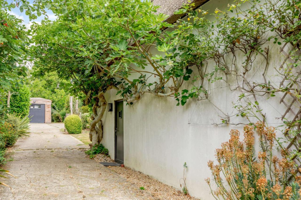 Little Thatch Lovely 2-Bed Converted Workshop Near Weymouth Radipole Exterior foto